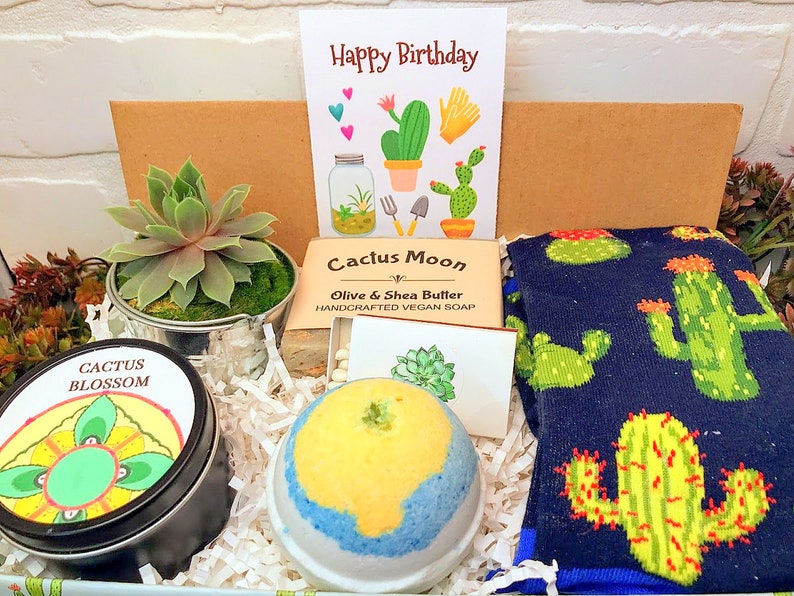 Succulent Socks gift box, Succulent lover gift , Sister gift box, Thank you Gift Box, Plant lover gift box, Happy Birthday does not succ image 1