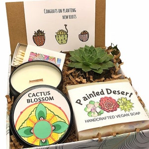Moving to a new city gift, New Apartment gift, Housewarming gift, welcome home gift, Planting new roots  gift card, Succulent Candle box