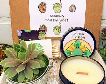 May include: A gift box filled with a small succulent plant in a metal pot, a candle in a black tin with the label "Cactus Blossom", and a pack of matches. The box is decorated with white tissue paper and a card that says "Sending Healing Vibes" with drawings of cacti.