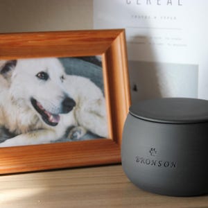 Personalized Handmade Ceramic Pet Urn: Custom Dog or Cat Memorial