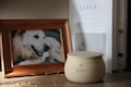 Personalized Handmade Ceramic Pet Urn: Custom Dog or Cat Memorial product logo