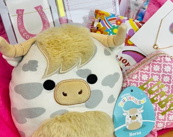 Cowgirl Gift Box for Girls | Squishmallow Journal Set | Tween Birthday