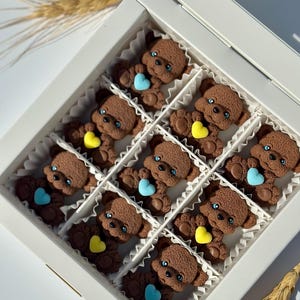 Chocolate Gift  Belgian Chocolate Exclusive Gifts