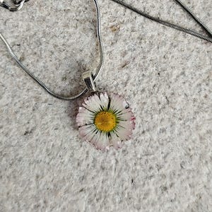 collar de margaritas