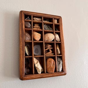 May include: A wooden display case with multiple compartments, filled with a variety of small objects. The items include polished stones, a seashell, and other natural elements. The case is a warm brown color and is mounted on a neutral-colored wall.