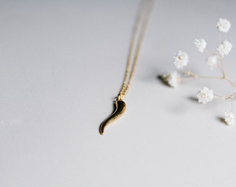 necklace nickel buffalo cornicello