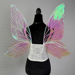May include: Iridescent fairy wings with a pink and green color scheme. The wings are attached to a white, lace-detailed bodice. The wings are displayed on a black mannequin.