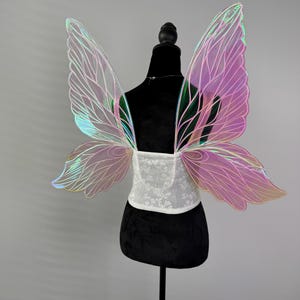 May include: Iridescent fairy wings with a pink and green hue, attached to a white lace bodice. The wings are displayed on a black mannequin, showcasing the delicate design and ethereal quality of the costume accessory.