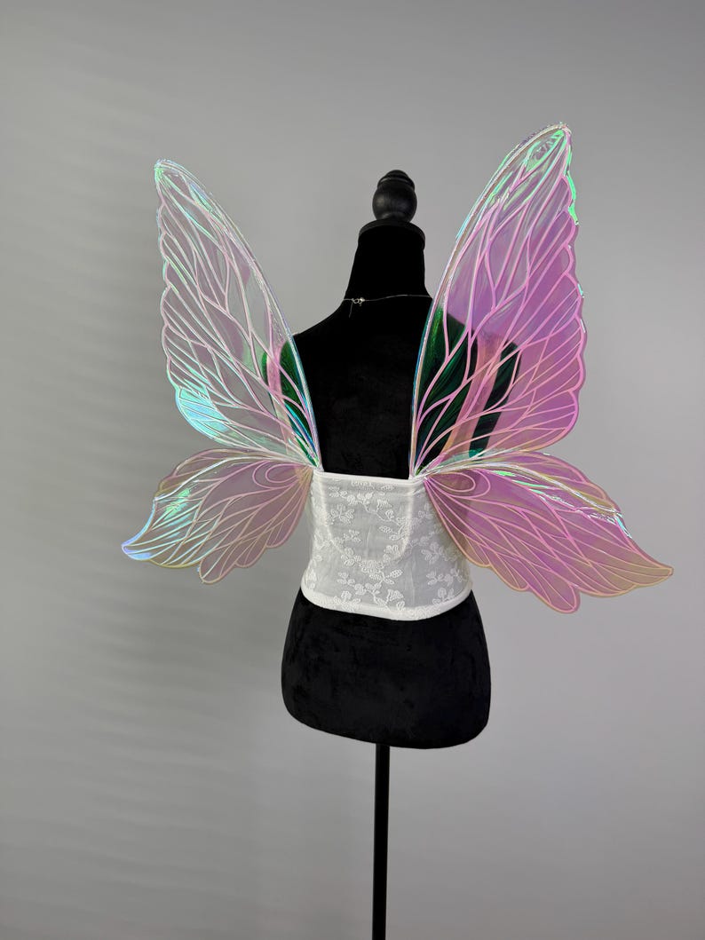 May include: Iridescent fairy wings with a pink and green hue, attached to a white lace bodice. The wings are displayed on a black mannequin, showcasing the delicate design and ethereal quality of the costume accessory.