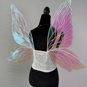 May include: Iridescent fairy wings with a white lace bodice. The wings have a gradient of colors, including pink, green, and blue. The wings are attached to a white lace bodice, creating a whimsical costume.