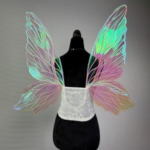 May include: Iridescent fairy wings with a white lace bodice. The wings display a gradient of colors, including pink, green, and yellow. The wings are attached to a black mannequin, showcasing the design and structure of the costume accessory.