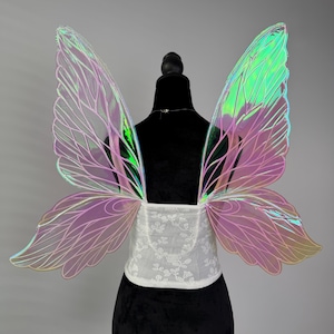 May include: Iridescent fairy wings with a white lace bodice. The wings have a gradient of pink, green, and yellow hues. The bodice is white with a floral pattern. The wings are attached to a black mannequin.