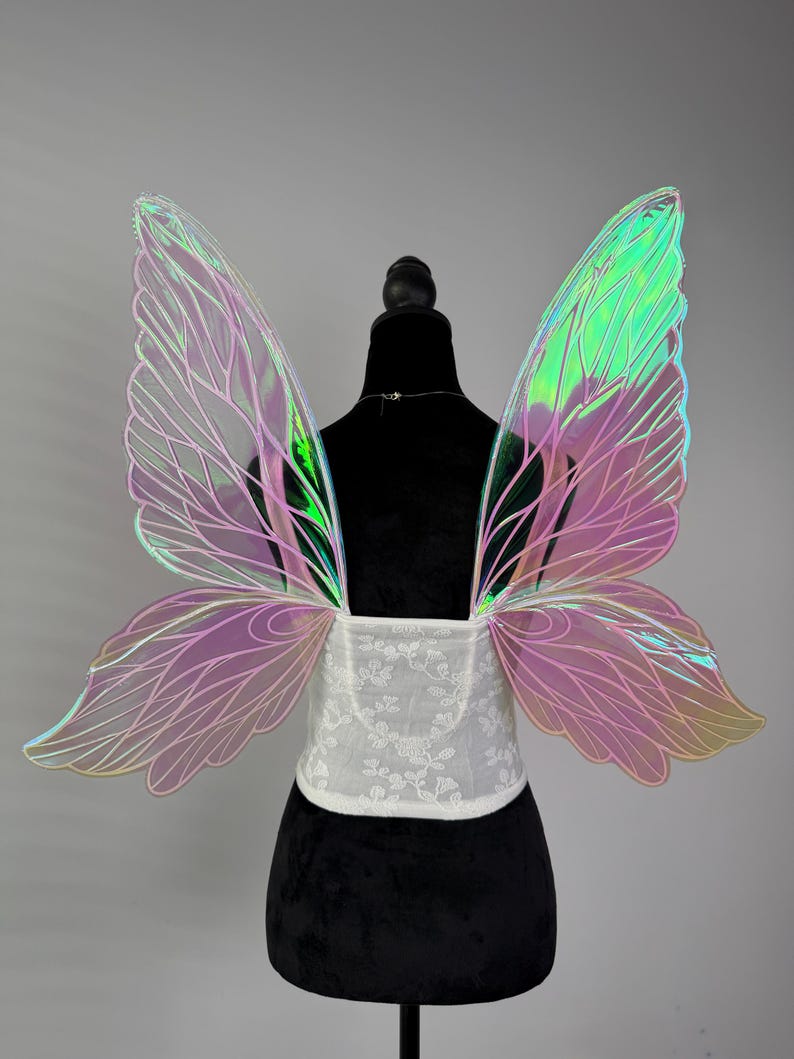 May include: Iridescent fairy wings with a white lace bodice. The wings have a gradient of pink, green, and yellow hues. The bodice is white with a floral pattern. The wings are attached to a black mannequin.
