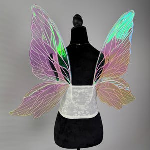 May include: Iridescent fairy wings with a white floral corset. The wings feature a gradient of pink, green, and yellow hues. The corset is made of white lace. The wings are attached to a black mannequin.