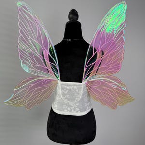 May include: Iridescent fairy wings with a white lace corset, displayed on a black mannequin. The wings have a gradient of pink, green, and yellow hues. The corset features a floral pattern. The wings are attached to the corset.