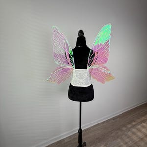 May include: Iridescent fairy wings with pink and green hues are displayed on a black dress form. The wings have a delicate, veined design. A white lace corset-style belt is worn around the form's waist. The dress form is on a black stand.