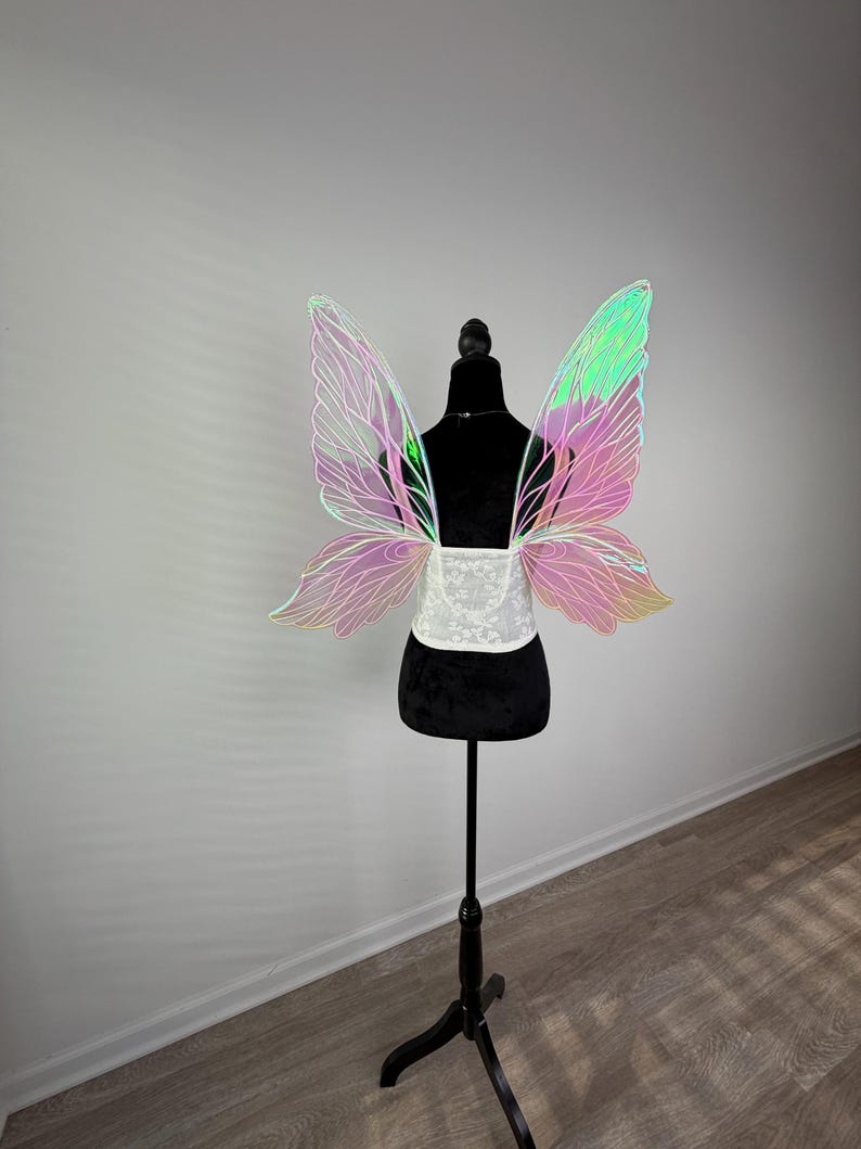 May include: Iridescent fairy wings with pink and green hues are displayed on a black dress form. The wings have a delicate, veined design. A white lace corset-style belt is worn around the form's waist. The dress form is on a black stand.