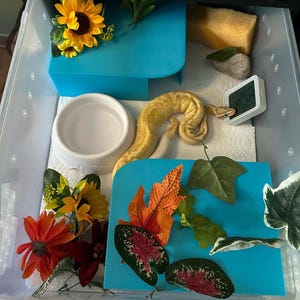 Large Reptile Hide – Custom Color & Opening (Left or Right)