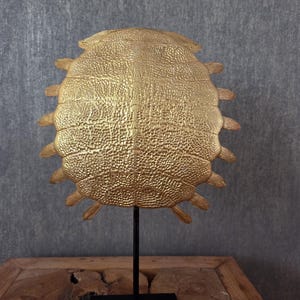 Puede incluir: Una escultura decorativa dorada con forma de caparazón de tortuga. La concha tiene una superficie texturizada y está montada sobre un soporte de metal negro con base cuadrada. La escultura se exhibe sobre una mesa de madera contra una pared gris.