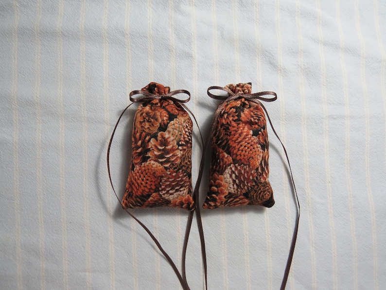 May include: Two small, fabric sachets with a brown pine cone pattern. Each pouch is tied with a brown ribbon and has a long, thin ribbon hanging down. The sachets are on a light blue and white striped background.