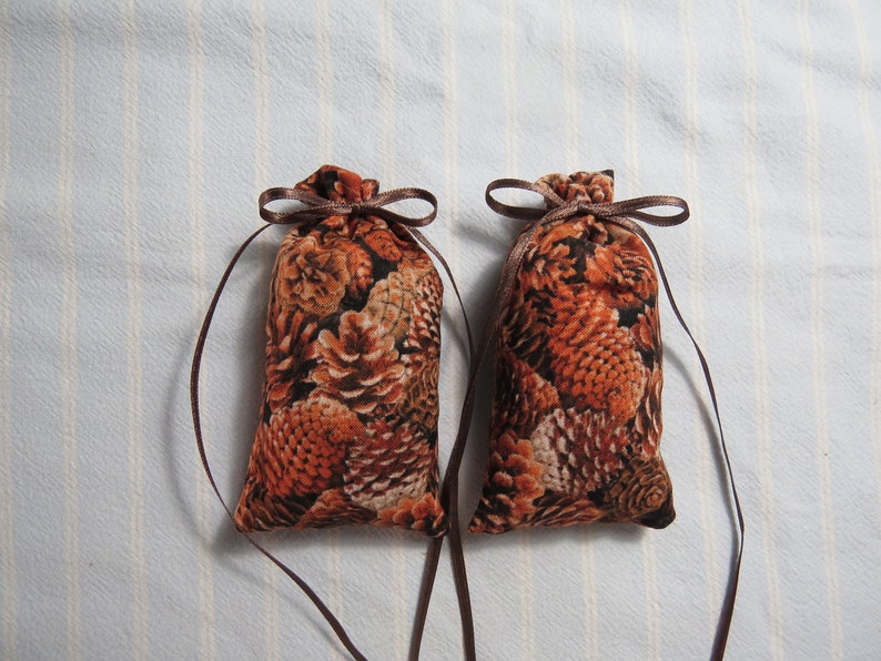 May include: Two small, rectangular fabric sachets with a brown pine cone pattern. Each sachet is tied with a brown ribbon bow at the top and has a long ribbon hanging down. The sachets are on a light blue and white striped background.