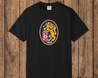 Venezuelan Baseball T-Shirt: VZLA Dad Gift, Comfort Colors