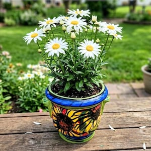 May include: A potted plant featuring white daisy flowers with yellow centers, housed in a ceramic pot decorated with a vibrant yellow and black sunflower pattern, a bright blue rim, and small green handles on the sides of the container.
