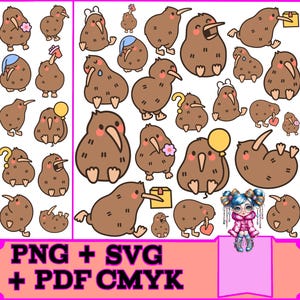 15 Pássaros Kiwis SVG Bundle für Cricut & Silhouette | Sofortiger digitaler Download | Hochwertige PNG, PDF für die kommerzielle Nutzung