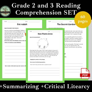 2nd-3rd Grade Reading Comprehension Worksheet Bundle - Printable Reading Passage - Grade 2-3 HomeSchool Reading Worksheet- Teacher Resource