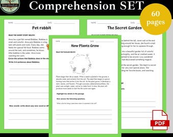 Ensemble de feuilles de travail sur la compréhension en lecture de 2e et 3e année - Passage de lecture imprimable - Feuille de travail de lecture HomeSchool de 2e et 3e année - Ressource pour l’enseignant