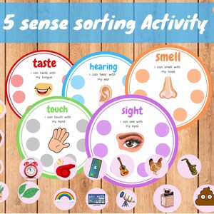 Activité de tri des cinq sens, Jeu de classification des 5 sens, École maternelle, Jardin d'enfants, Feuilles d'exercices sur le corps humain, Idée de sac occupé, Montessori