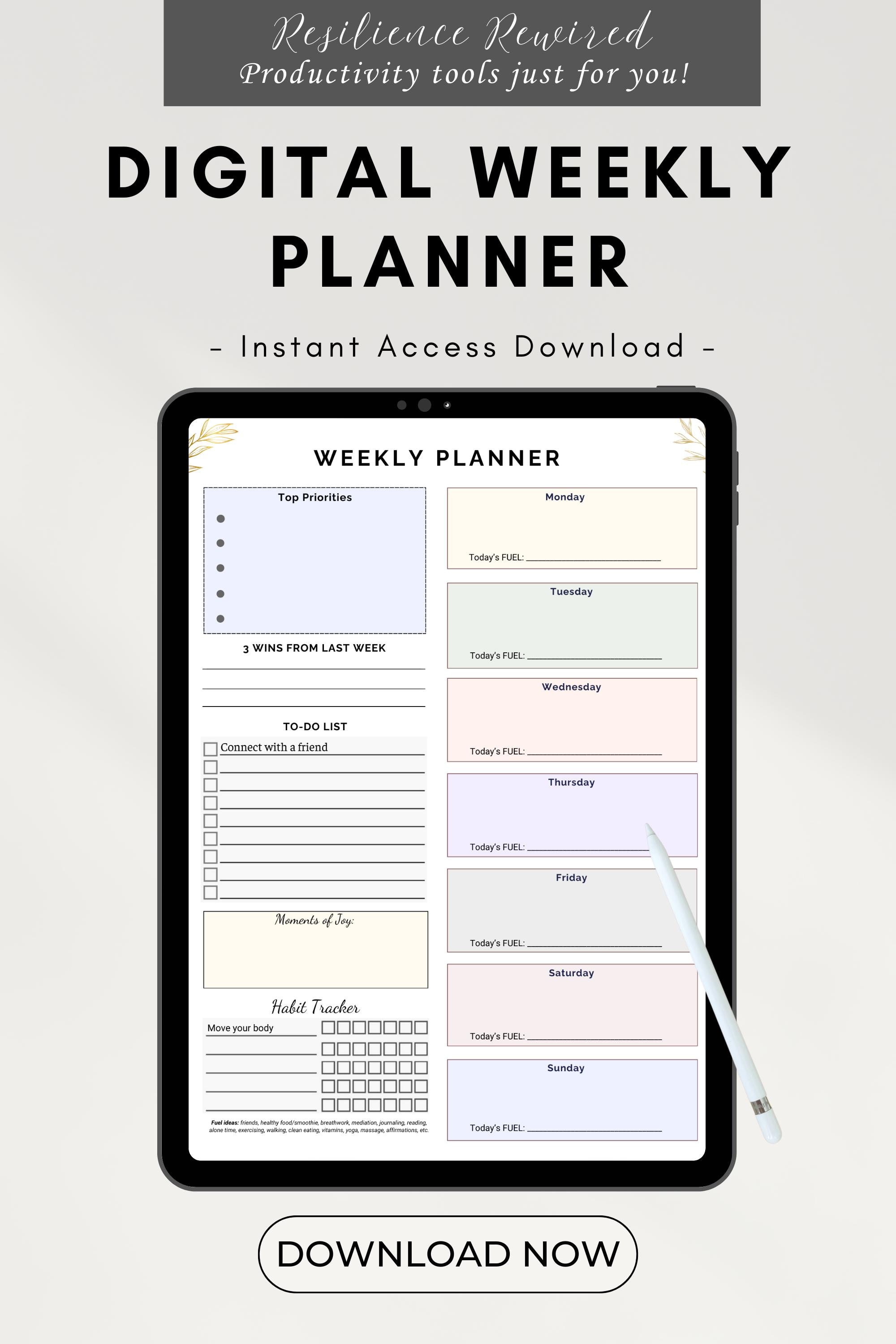 Weekly Planner Database Weekly Planner - Organization Tracker - Productivity - Etsy