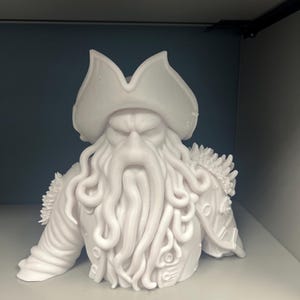 May include: A white bust of a pirate captain with a stern expression, wearing a tricorn hat and adorned with tentacle-like facial hair and shoulder details. The sculpture is displayed on a shelf.