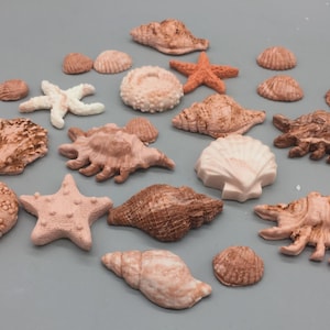 May include: A collection of various seashell and starfish decorations in shades of brown and white, arranged on a gray surface. The assortment includes different shapes and sizes, perfect for coastal-themed crafts or decor.