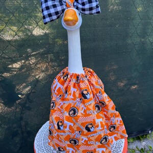 Porch goose outfit-College Tennessee VOLS