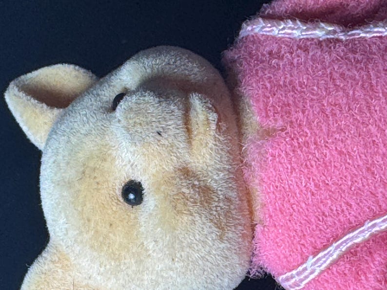 May include: Close-up of a vintage teddy bear's head and part of its pink blanket. The bear has a light brown, textured fur with black eyes and a small ear. The blanket is a bright pink with a white trim.