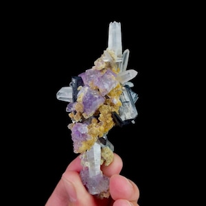 May include: A cluster of natural crystals featuring purple fluorite cubes, clear quartz points, and black tourmaline crystals. The crystals are accented with golden-brown druzy quartz, creating a striking mineral specimen against a black background.