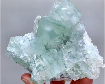 浙江省産グリーンフローライト結晶立方体クラスター（母岩付き）、鉱物