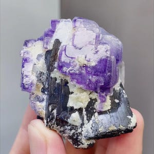 May include: A close-up of a natural fluorite mineral specimen. The specimen features a cluster of vibrant purple cubic crystals atop a matrix of black and white minerals. The fluorite crystals have a translucent quality.