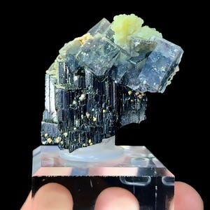 May include: A mineral specimen featuring a cluster of translucent, cubic fluorite crystals in shades of blue and purple, atop a matrix of black tourmaline. The specimen has small yellow accents and is displayed on a clear acrylic stand against a black background.
