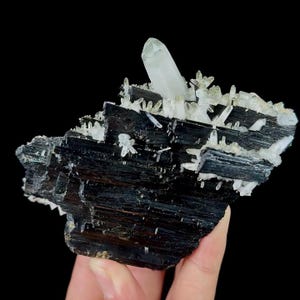 May include: A black tourmaline crystal cluster with clear quartz crystals. The tourmaline has a striated texture, and the quartz crystals are clustered at the top and sides. The specimen is displayed against a black background.