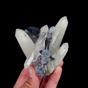 May include: A cluster of quartz crystals with blue and black mineral inclusions. The quartz crystals are clear and pointed, with a slightly milky appearance. The blue minerals are small and clustered, while the black minerals are elongated and thin. The background is black.