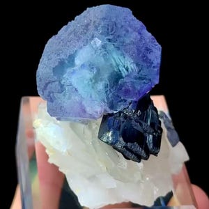 May include: A close-up of a mineral specimen featuring a large, textured, blue-purple fluorite crystal. Below the fluorite are dark blue crystals and white quartz, all set on a clear, rectangular base. The background is black.