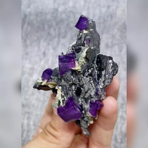 May include: A cluster of natural fluorite crystals with deep purple, cube-shaped formations. The crystals are set against a dark gray matrix with hints of green and white, creating a striking contrast. A unique mineral specimen.