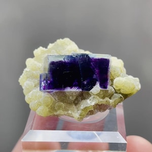 Natural Purple Phantom Fluorite comes from Yindu,Inner Mongolia 35*19*20MM
