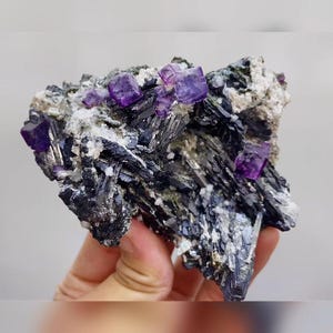 May include: A natural mineral specimen featuring dark, layered rock with clusters of vibrant purple cubic crystals. The rock has areas of white and gray, creating a striking contrast. This unique piece is a beautiful example of natural geology.