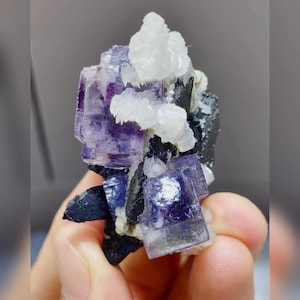 May include: A close-up of a natural fluorite mineral specimen. The specimen features cubic purple fluorite crystals, white quartz, and black matrix. The mineral is held in a hand against a neutral background.