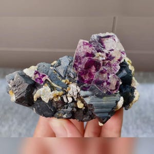 May include: A natural mineral specimen featuring a cluster of vibrant purple fluorite crystals atop a matrix of dark gray and black metallic minerals. The fluorite crystals exhibit a translucent quality, with some areas appearing white. The overall composition is a striking display of color and texture.