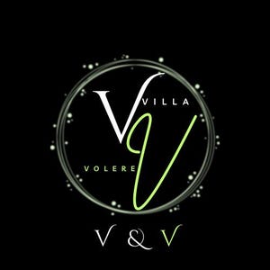 V and V Logo
