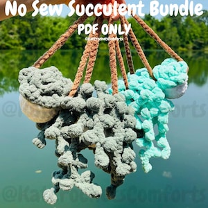 Hanging Succulent | Bundle | No Sew | Crochet Pattern | Beginner Friendly | Amigurumi | Mirror Swing